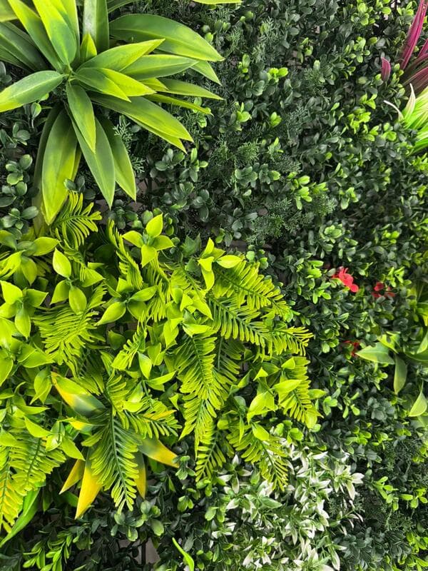 Tropical 1