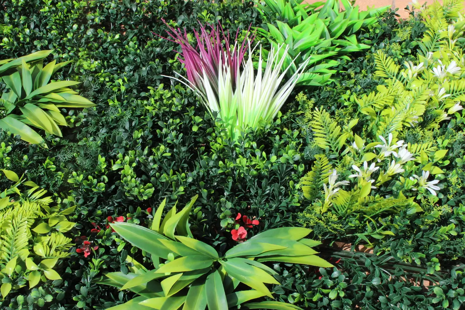 Jardín Vertical Tropical